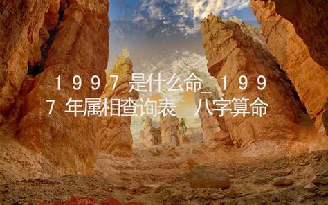 1997是什么年|1997是什么年